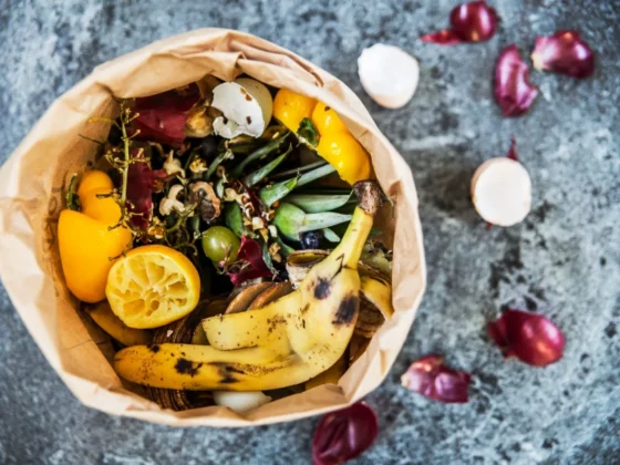 Quiz: How much do you know about food waste and its management?