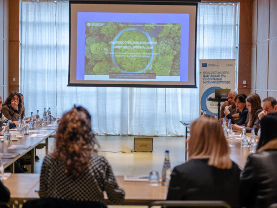 Adjara’s Business Sector Implements Circular Models: Industrial Symbiosis Network for Sustainable Business Growth