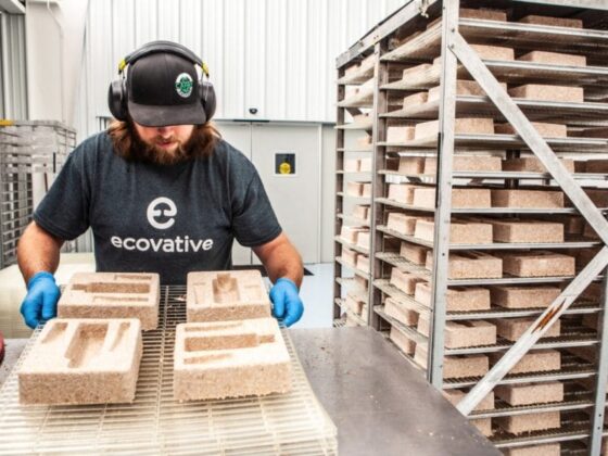 Circular Materials Created Through Mycelium-Based Technologies – Ecovative’s Innovative Project