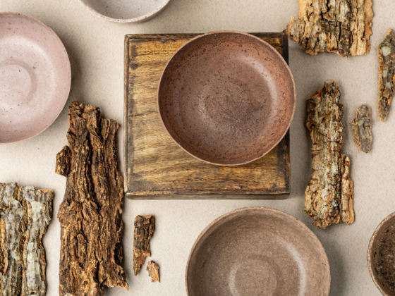 Packaging Made from Wood Waste: How Biodegradable Material Is Produced from Tree Bark