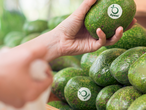 Plant-Based Wax Coating: Apeel Sciences’ Circular Project