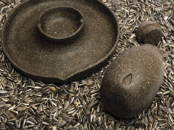 Household Items Made from Sunflower Husks: The SOLIO Circular Project