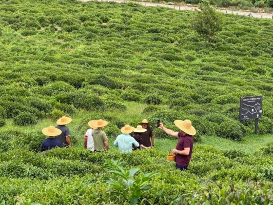 Discover Green Guria: A Study Tour Showcasing Local Sustainable Production and Supply Chains