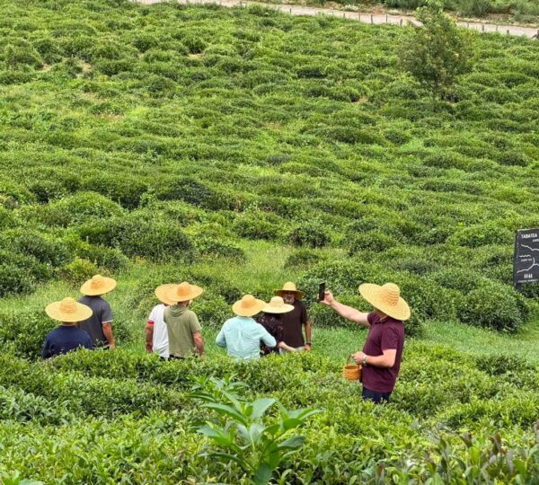 Discover Green Guria: A Study Tour Showcasing Local Sustainable Production and Supply Chains