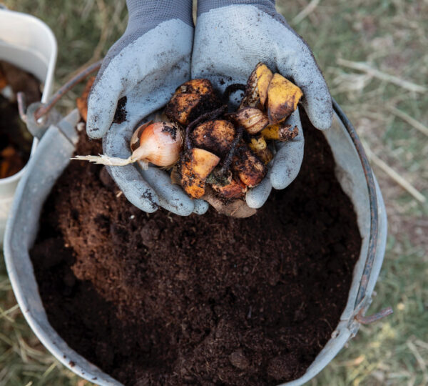 Circular Food Systems: What Does Valorisation Mean and What Are the Benefits of Organic Waste?